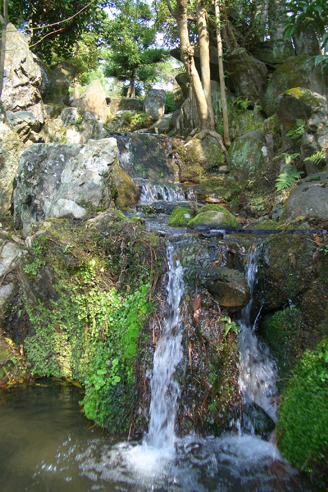 Japanese Backyard Gardens